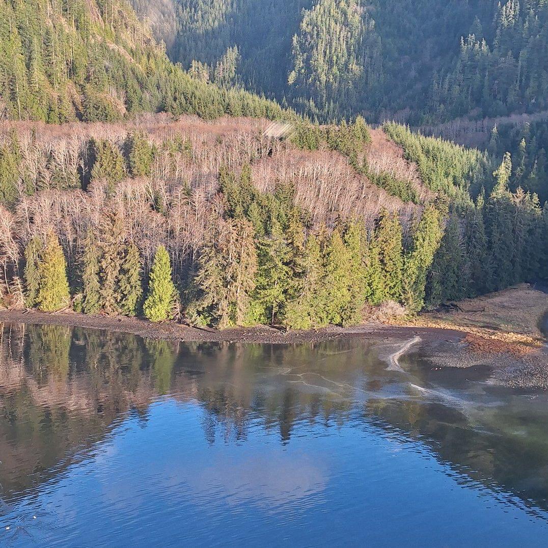 'Incalculably small' amount of diesel visible at site of 8,000-litre B.C. spill
